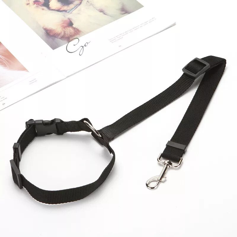 Cinto Para Coleira De Cachorro Em Veículos
