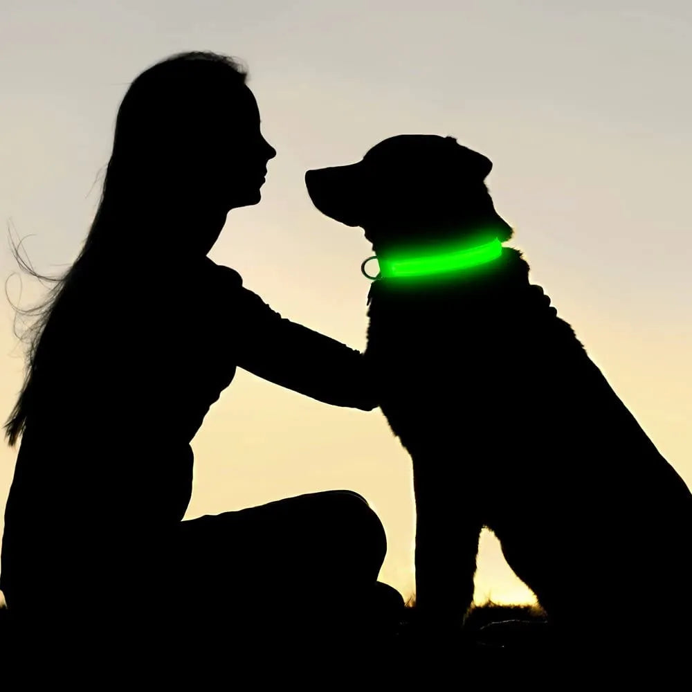 LED ajustável coleira de cão brilhante, colar anti-perdido, segurança noturna
