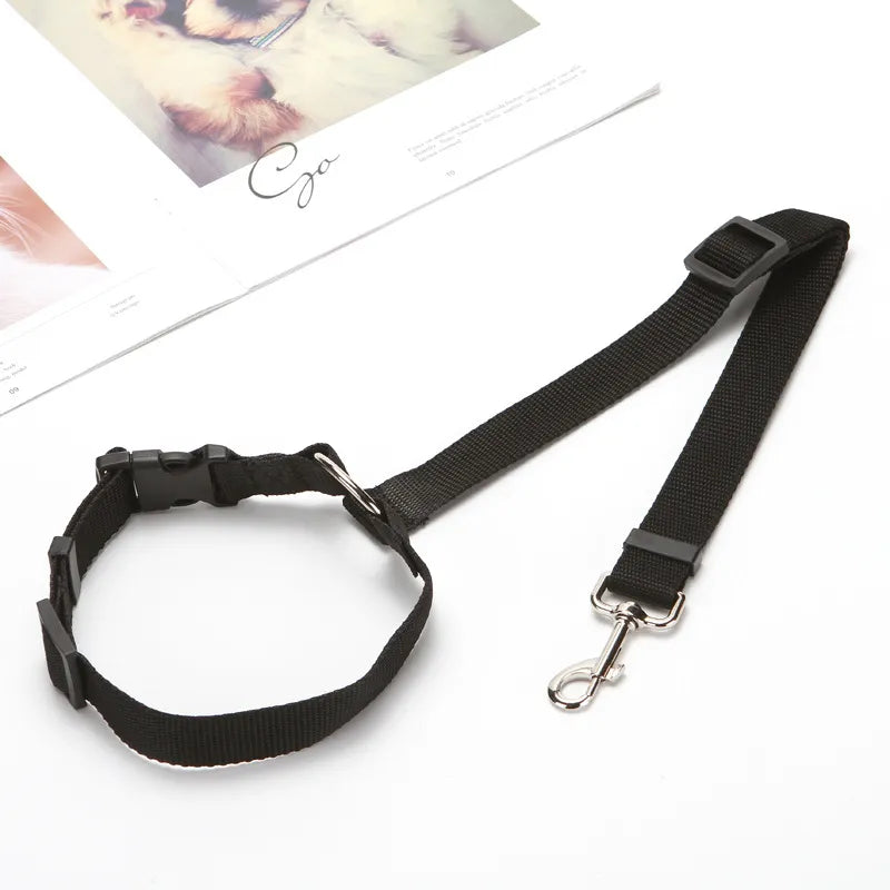 Cinto Para Coleira De Cachorro Em Veículos
