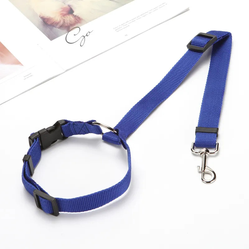 Cinto Para Coleira De Cachorro Em Veículos