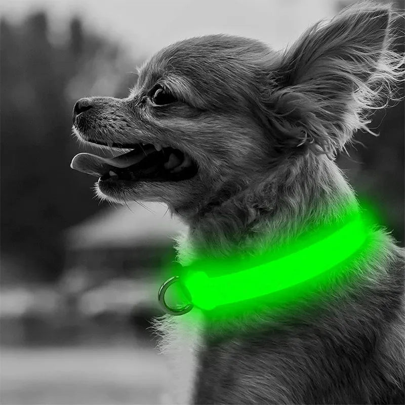 LED ajustável coleira de cão brilhante, colar anti-perdido, segurança noturna