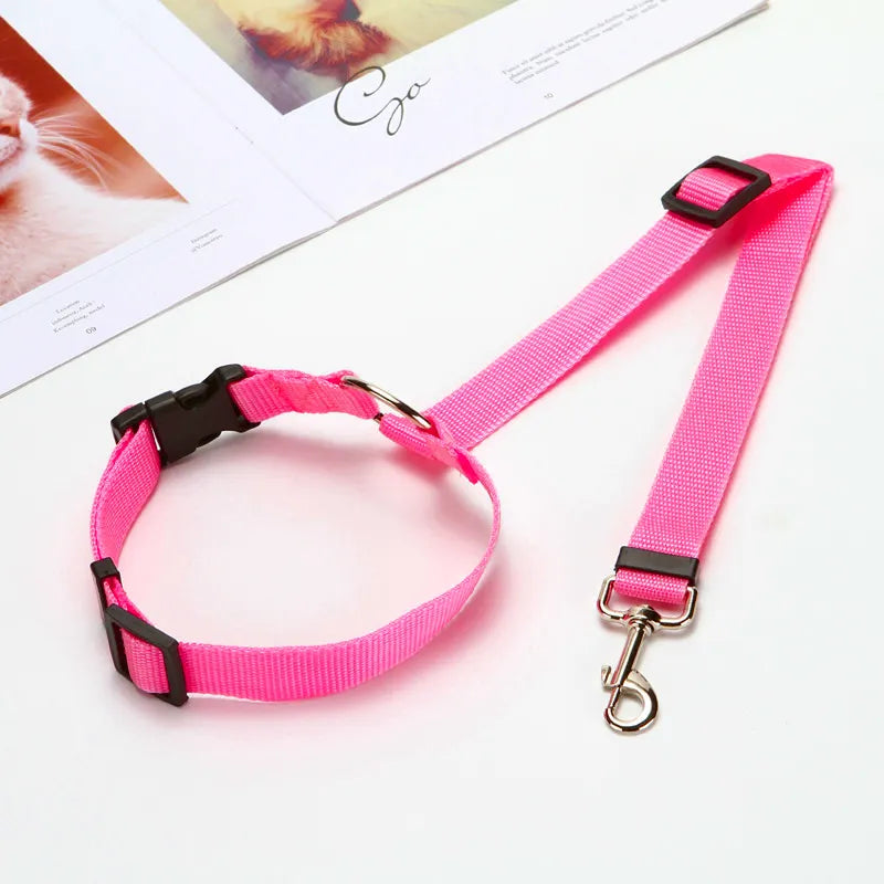 Cinto Para Coleira De Cachorro Em Veículos