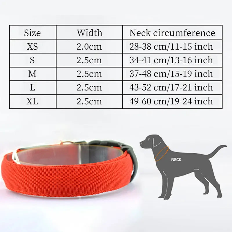 LED ajustável coleira de cão brilhante, colar anti-perdido, segurança noturna