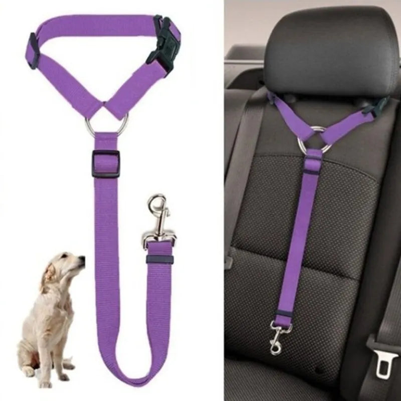 Cinto Para Coleira De Cachorro Em Veículos