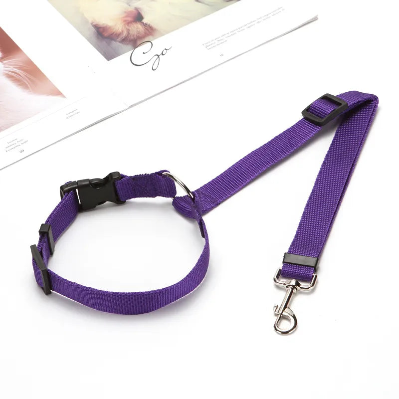 Cinto Para Coleira De Cachorro Em Veículos