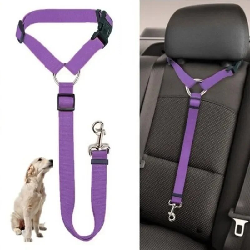 Cinto Para Coleira De Cachorro Em Veículos