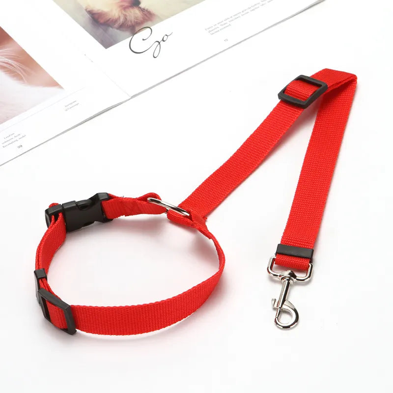 Cinto Para Coleira De Cachorro Em Veículos